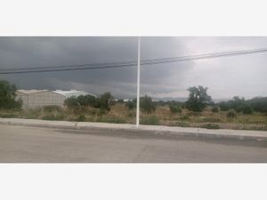 Terreno en Venta en La Noria Mineral de la Reforma