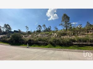 Terreno en Venta en Bosque Real Huixquilucan