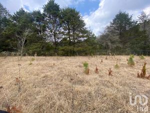 Terreno en Venta en San Martín San Cristóbal de las Casas