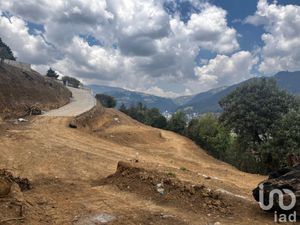 Terreno en Venta en El Laurel Huixquilucan