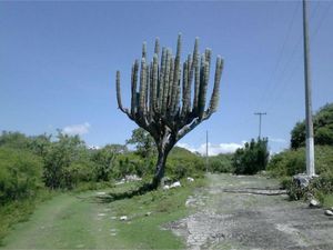 Terreno en Venta en Ticumán Tlaltizapán de Zapata