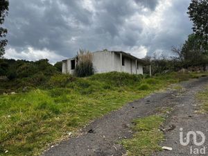 Terreno en Venta en San Luis Boro Atlacomulco