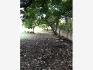 Terreno en Venta en Huachinantitla Tepoztlán