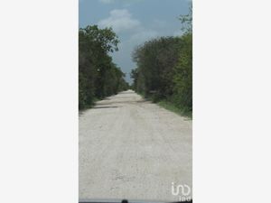 Terreno en Venta en Ciénega 2000 Progreso