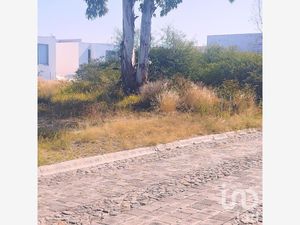 Terreno en Venta en Campestre Haras Amozoc