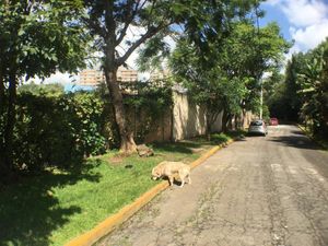 Terreno en Venta en Rancho Cortes Cuernavaca