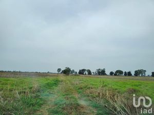 Terreno en Venta en Santa Cruz de Abajo Texcoco