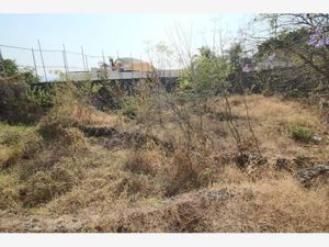 Terreno en Venta en Burgos Temixco