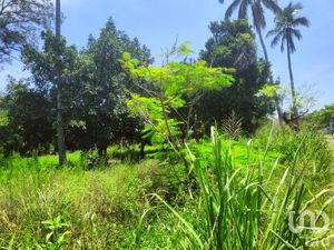 Terreno en Venta en Monte Gordo Tecolutla