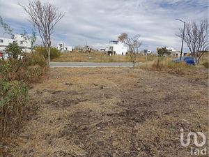 Terreno en Venta en Berceto Apaseo El Grande