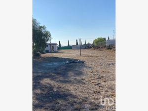 Terreno en Venta en Santiago Tlapacoya Centro Pachuca de Soto