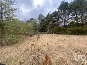 Terreno en Venta en San Martín San Cristóbal de las Casas