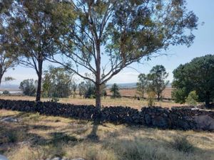 Terreno en Venta en El Álamo Polotitlán