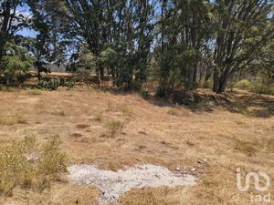 Terreno en Venta en Canalejas Jilotepec