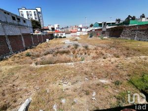 Terreno en Renta en Bugambilias Puebla