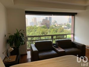 Departamento en Venta en Polanco V Sección Miguel Hidalgo