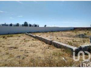 Terreno en Venta en Los Viñedos Zempoala