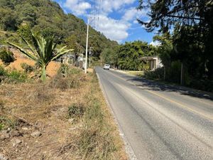 Terreno en Renta en Chalmita Ocuilán