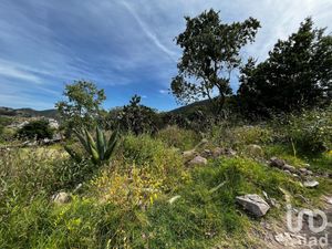 Terreno en Venta en San Luis Boro Atlacomulco