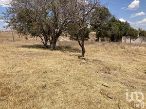 Terreno en Venta en San Simón Tlatlahuquitepec Xaltocan