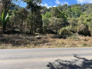 Terreno en Renta en Chalmita Ocuilán