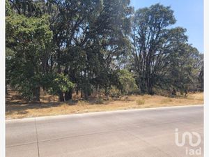 Terreno en Venta en Canalejas Jilotepec