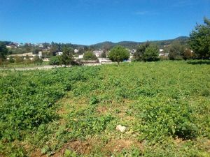 Terreno en Venta en Eloxochitlán Zacatlán