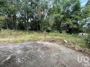 Terreno en Venta en Temascaltepec de González Temascaltepec