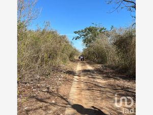 Terreno en Venta en Dzidzantún Dzidzantún