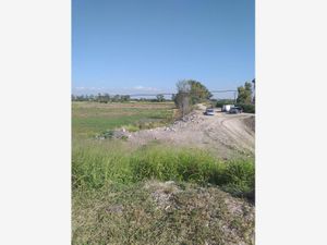 Terreno en Venta en Ejido el Jaral Corregidora