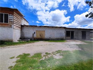 Local en Renta en Bismark San Cristóbal de las Casas