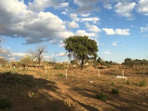 Terreno en Venta en Ocotepec Cuernavaca