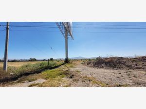 Terreno en Venta en Acayuca Zapotlán de Juárez