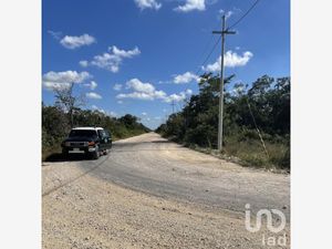 Terreno en Venta en Papagayos Hunucmá