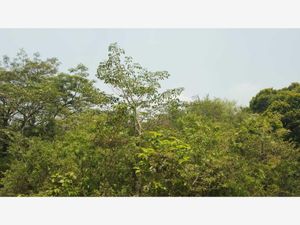 Terreno en Venta en Mata de Pita Veracruz