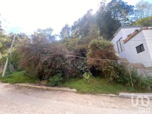 Terreno en Venta en San Nicolás San Cristóbal de las Casas