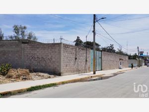 Bodega en Renta en La Concepción Chiautla
