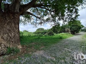 Terreno en Venta en Lomas de Comala Comala