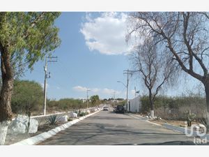 Terreno en Venta en Campestre Lomas del Sur Romita