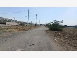 Terreno en Venta en Tlapipinca Cocotitlán