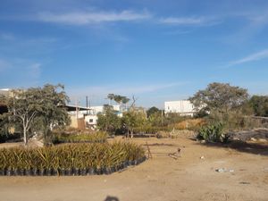 Terreno en Renta en Lagunitas Los Cabos