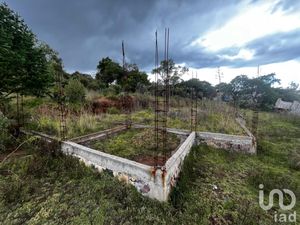 Terreno en Venta en San Luis Boro Atlacomulco