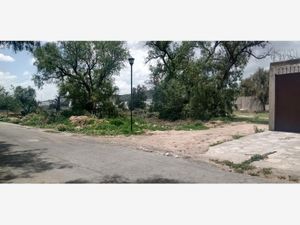 Terreno en Venta en Pachuquilla Mineral de la Reforma