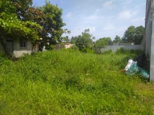 Terreno en Renta en Miguel Hidalgo Coatzacoalcos