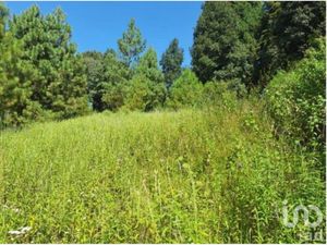 Terreno en Venta en San Simón el Alto Valle de Bravo