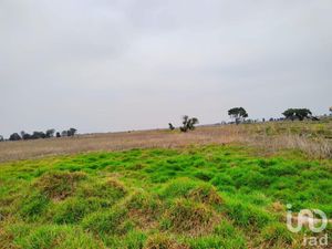 Terreno en Venta en Santa Cruz de Abajo Texcoco