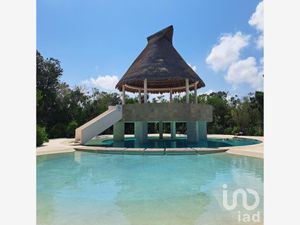 Terreno en Venta en Puerto Morelos Puerto Morelos