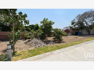 Terreno en Venta en Palmira Tinguindin Cuernavaca