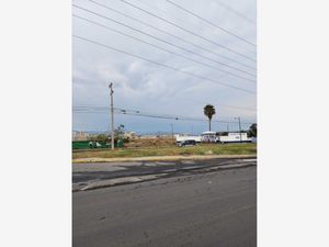 Terreno en Venta en Chalco de Díaz Covarrubias Centro Chalco