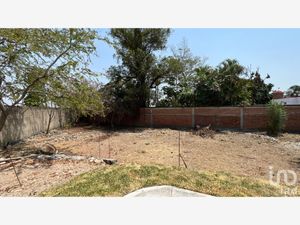 Terreno en Venta en Palmira Tinguindin Cuernavaca